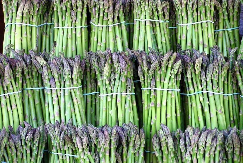 Asparagus for sale (illustration)