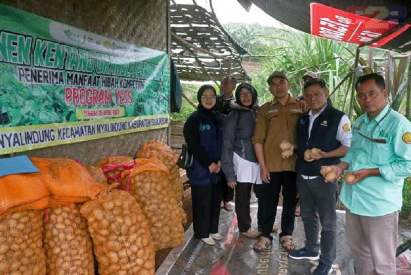 Astya Nur Alif, salah satu dari penerima manfaat Program YESS sukses budidaya dan panen kentang pekan lalu. Panen kentang di lokasi dengan luasan lahan 6.800 m2 dan mendapatkan hasil 2,5 ton kentang jenis Granola.