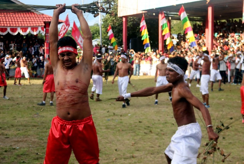 Atraksi budaya Pukul Sapu (saling memukul menggunakan lidi/batang enau) berlangsung di Desa Mamala, Pulau Ambon, Kabupaten Maluku Tengah, Maluku, Minggu (2/7). 