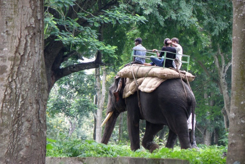 Atraksi naik gajah