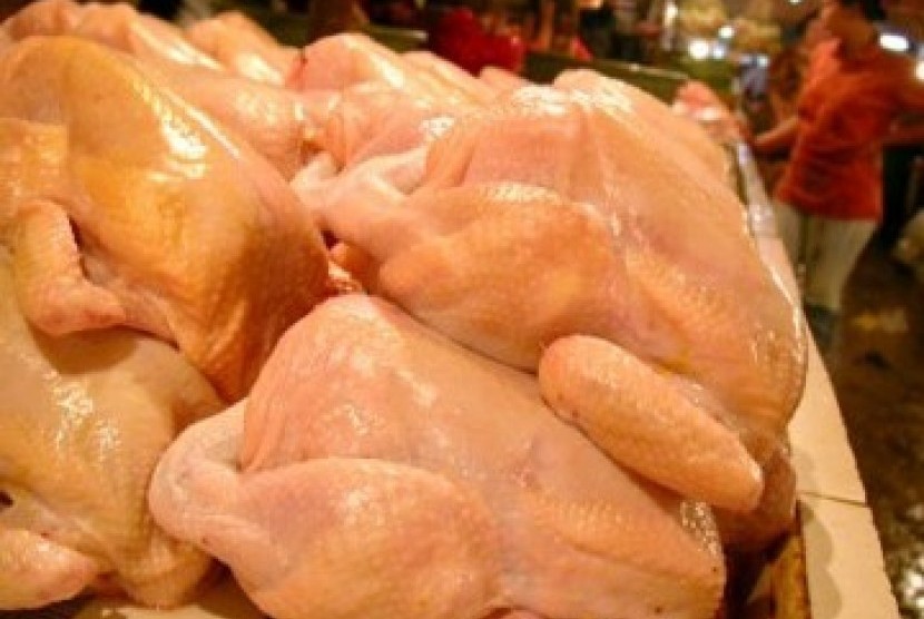 Ayam potong yang dijual di pasar (ilustrasi).
