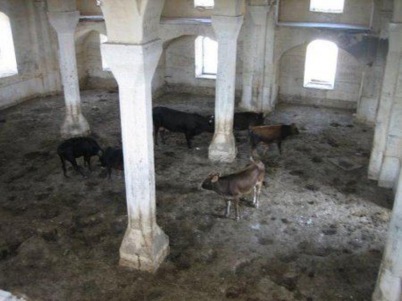 Azerbaijan Ungkap Masjid di Zangilan Dijadikan Kandang Babi