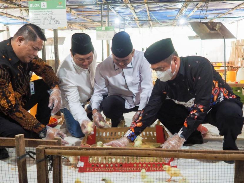 Badan Amil Zakat Nasional (Baznas) meluncurkan program pengembangan usaha Balai Ternak Kelompok Unggas di Madiun Raya, Jawa Timur, pada Sabtu (17/12/2022).
