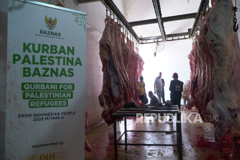 Badan Amil Zakat Nasional (Baznas) Republik Indonesia kembali menunjukkan komitmennya dalam misi kemanusiaan global dengan menyalurkan hewan kurban untuk warga Gaza, Palestina. Penyaluran ini dilakukan melalui kerja sama dengan lembaga kemanusiaan internasional, Networking for Humanitarian (INH).