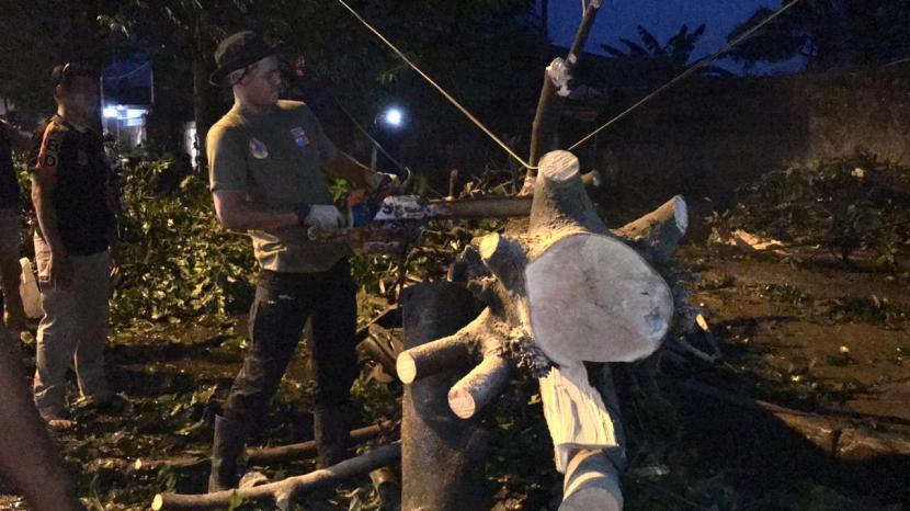 Badan Penanggulangan Bencana Daerah (BPBD) Kota Bogor bersama warga mengevakuasi pohon tumbang di Jalan KH Abdullah Bin Nuh, Kecamatan Bogor Barat, Kota Bogor, Jawa Barat, pascahujan deras disertai angin kencang.