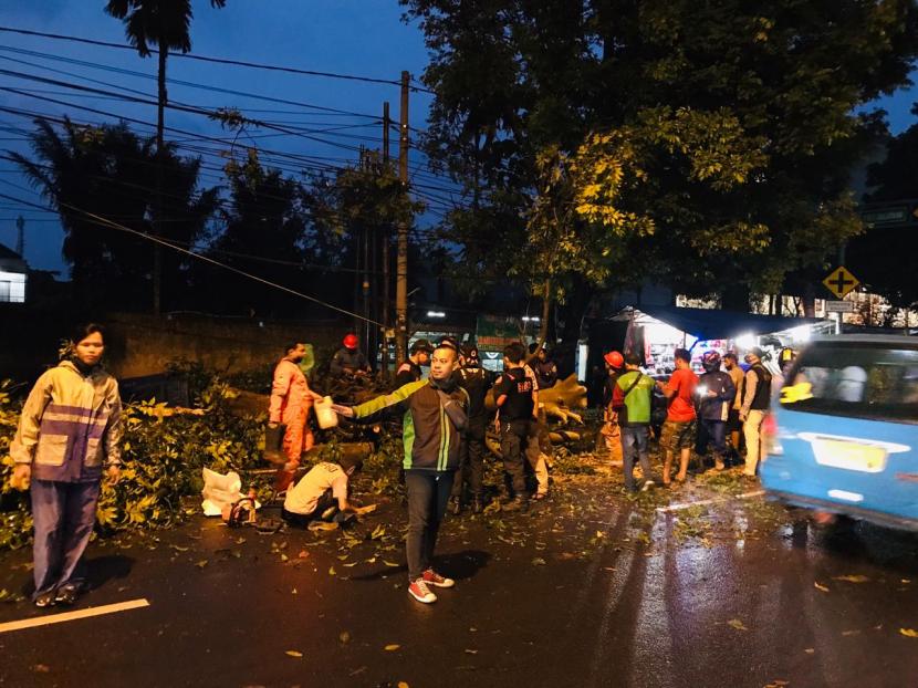 Badan Penanggulangan Bencana Daerah (BPBD) Kota Bogor dibantu warga sekitar mengevakuasi pohon tumbang di Jalan KH. Abdullah Bin Nuh, Bogor Barat, Kota Bogor pasca hujan deras disertai angin kencang.