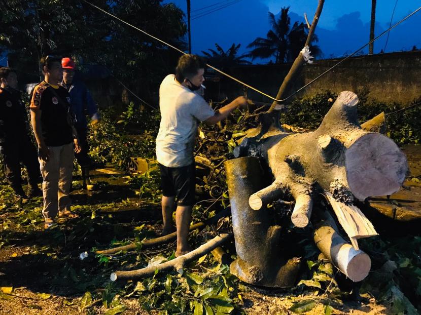 Badan Penanggulangan Bencana Daerah (BPBD) Kota Bogor dibantu warga sekitar mengevakuasi pohon tumbang di Kota Bogor pascahujan deras disertai angin kencang.