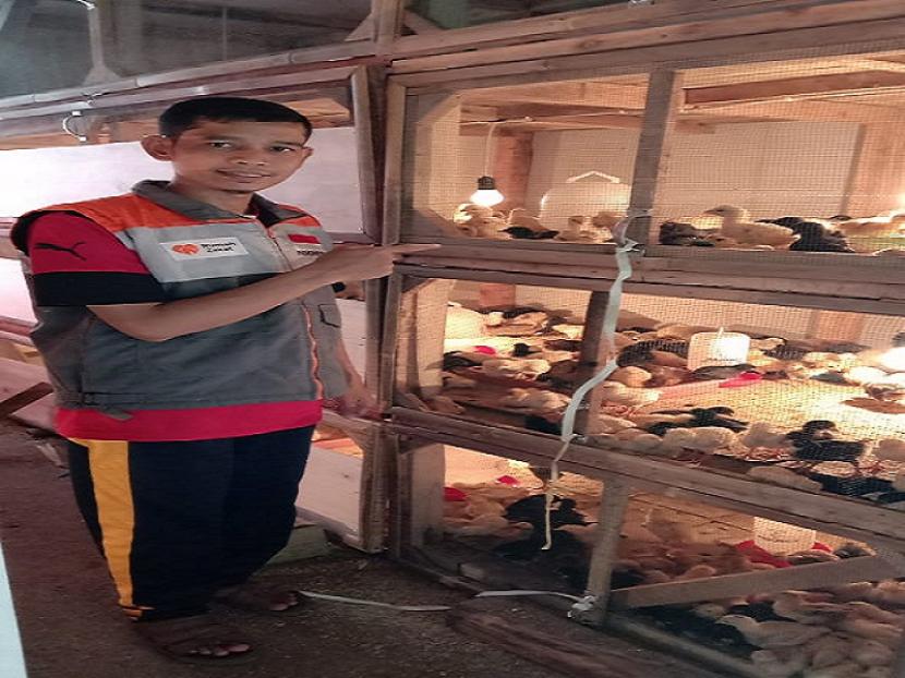 Badan Usaha Milik Masyarakat (BUMMas) Inpirasi Negeri yang ada di Desa Pasirwaru, Kabupaten Garut sudah 2 pekan melakukan pengembangbiakkan DOC ayam jenis joper sebanyak 900 ekor lebih.