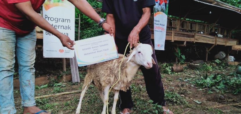 Badan Usaha Milik Masyarakat (BUMMas) Warak Berdaya Farm kembali menembelih satu ekor domba jantan pada Jumat (26/2). Usaha masyarakat yang diinisiasi oleh Rumah Zakat melalui relawannya ini fokus pada peternakan kambing dan domba.