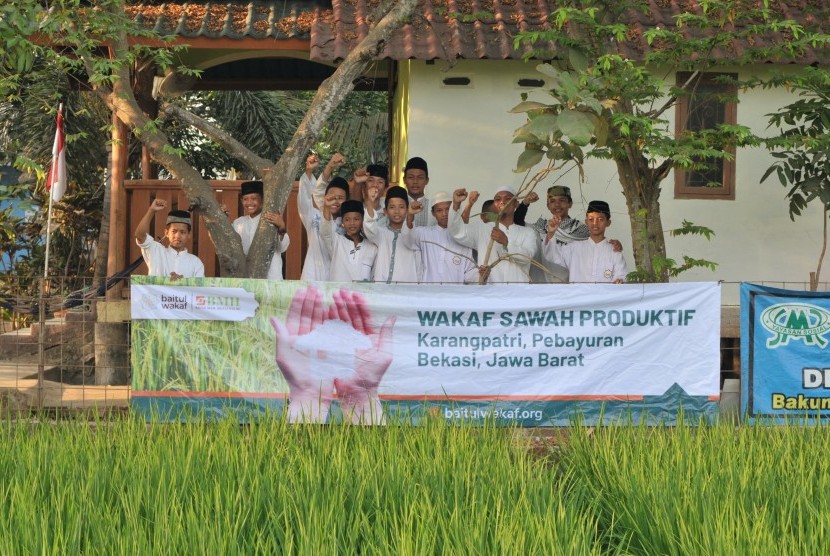 Baitul Wakaf mengembangkan wakaf sawah produktif.