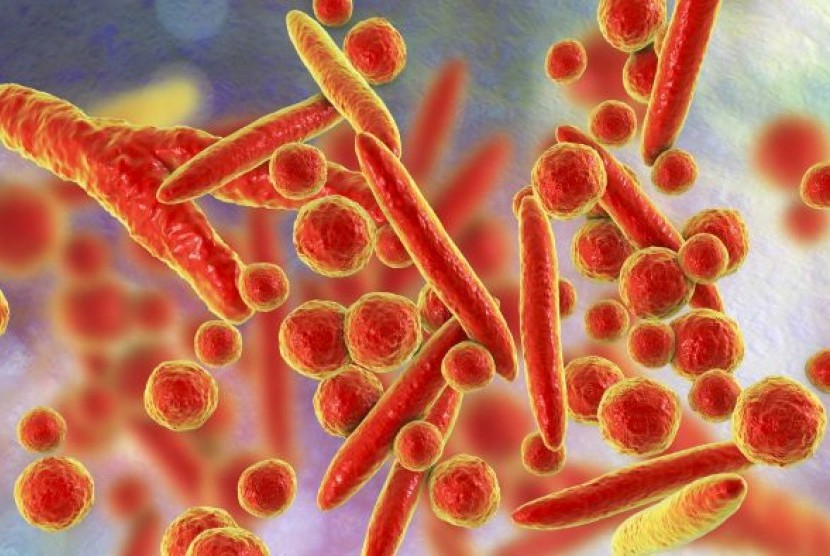  Bakteri mycoplasma penyebab pneumonia (ilustrasi)
