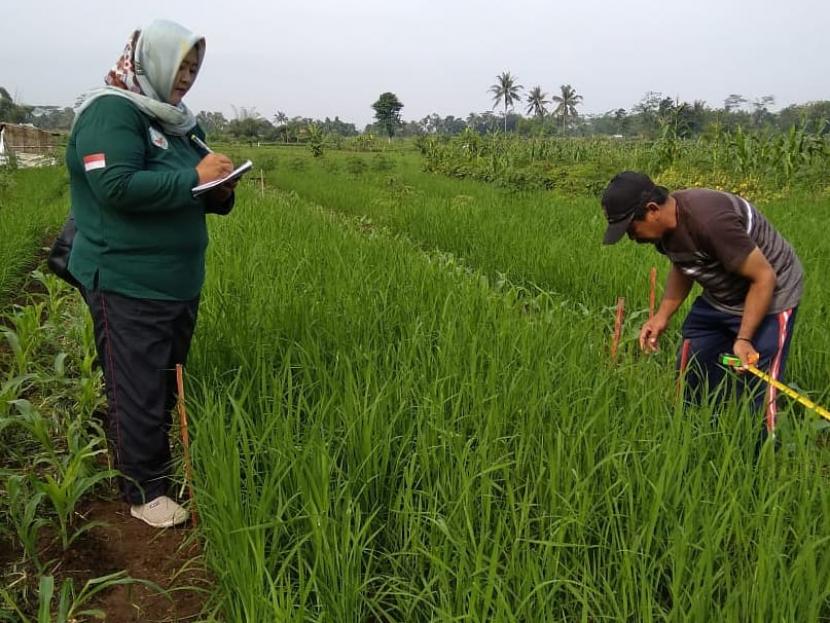 Balai Pengkajian Teknologi Pertanian (BPTP) Jawa Barat di bawah Badan Penelitian dan Pengembangan Pertanian (Balitbangtan) tetap melaksanakan aktivitas dengan tentunya tetap memperhatikan keselamatan dan kesehatan.