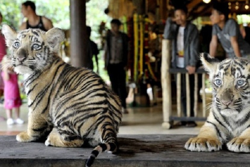 Bali zoo (file photo)