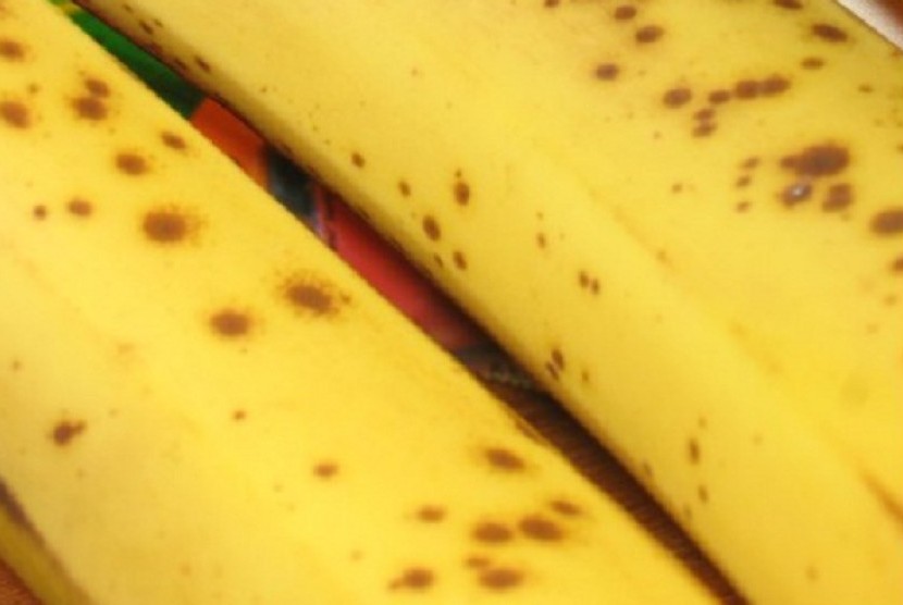 Cargo of bananas caught in New Jersey legal limbo | Republika