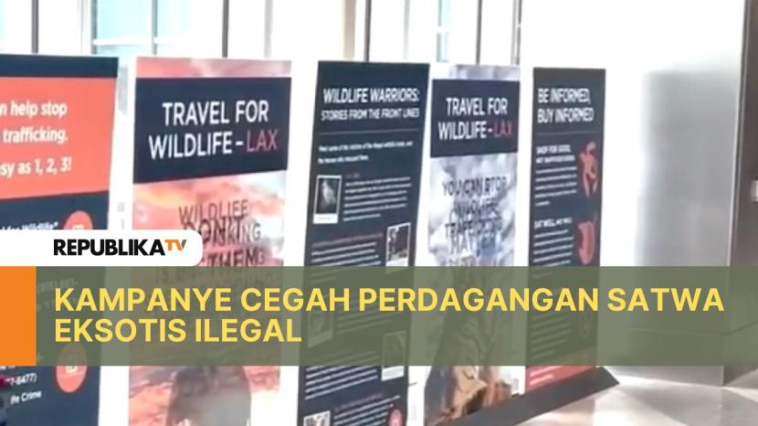 Bandara Los Angeles, sebagai salah satu pintu masuk perdagangan satwa, berupaya meningkatkan kesadaran publik lewat sebuah pameran. 