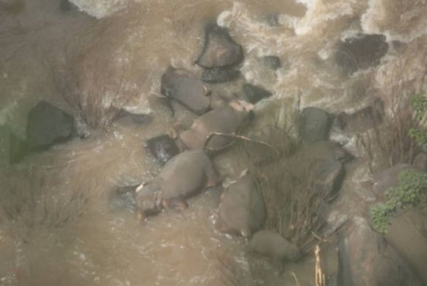 Bangkai gajah yang jatuh di air terjun di Taman Nasional Khao Yai, Thailand.