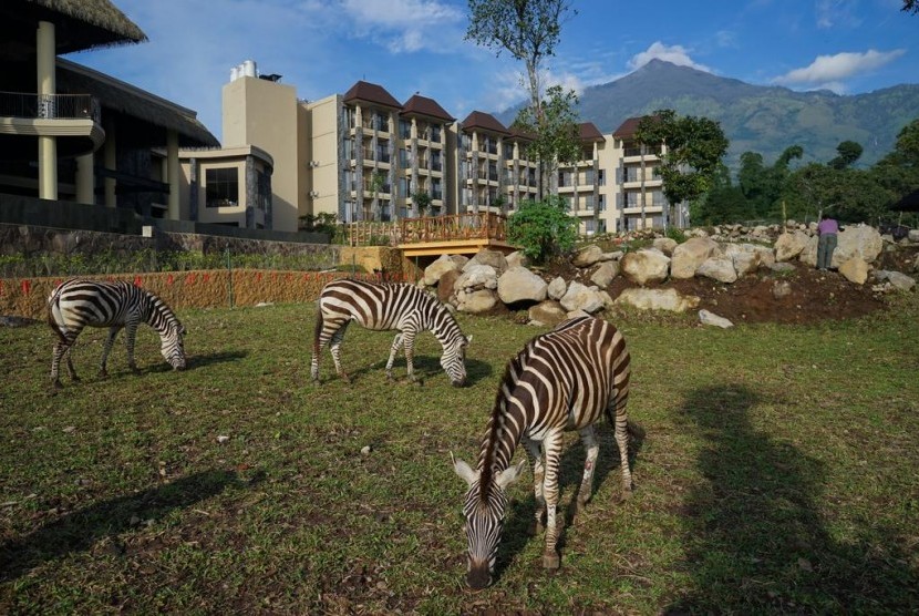 Menginap Dikelilingi Satwa Liar Di Baobab Safari Resort