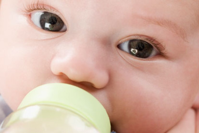 Bayi dan susu formula