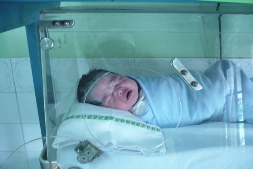 Bayi baru lahir (ilustrasi).