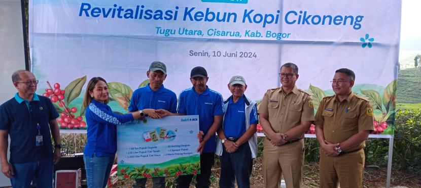 BCA merevitalisasi kebun kopi Cikoneng, Bogor, Jawa Barat, Senin (10/6/2024).