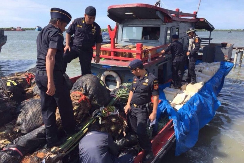 Bea Cukai Aceh menggagalkan penyelundupan bibit dan pohon kurma melalui patroli laut.
