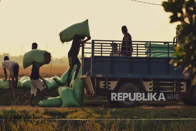 Bea Cukai Ambon mengawal pelepasan ekspor hasil hutan bukan kayu (HHBK) berupa 30 ton getah damar senilai Rp 570 juta dengan tujuan India serta 15 ton pala senilai Rp 1,5 miliar tujuan China.