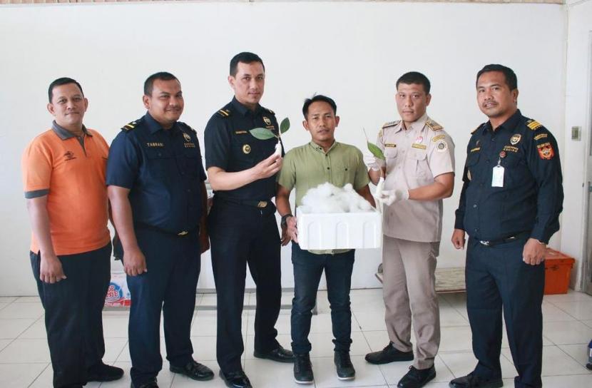 Bea Cukai Banda Aceh berhasil melepas ekspor perdana tanaman hias jenis bunga Hoya. Ekspor dilakukan oleh PT Baruna Niaga Dhifa melalui Bandara Sultan Iskandar Muda menuju Inggris, Kamis (11/5/2023).