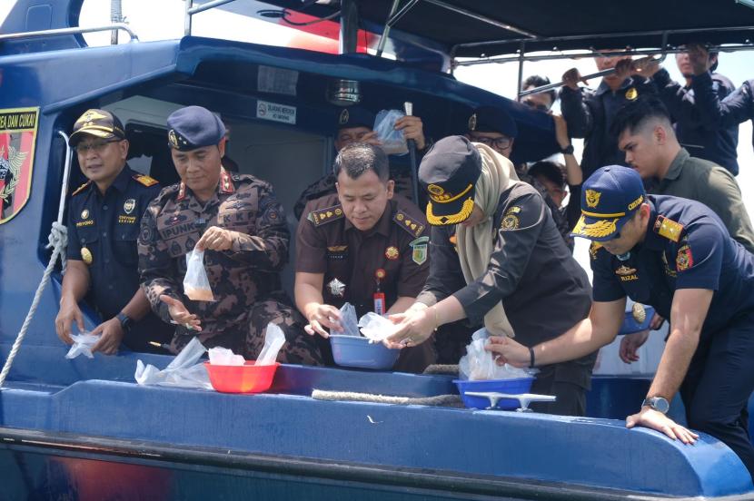 Bea Cukai Batam gagalkan upaya penyelundupan 795.500 ekor benih lobster di Perairan Pulau Panjang, Kepulauan Riau pada Rabu (21/8/2024). 