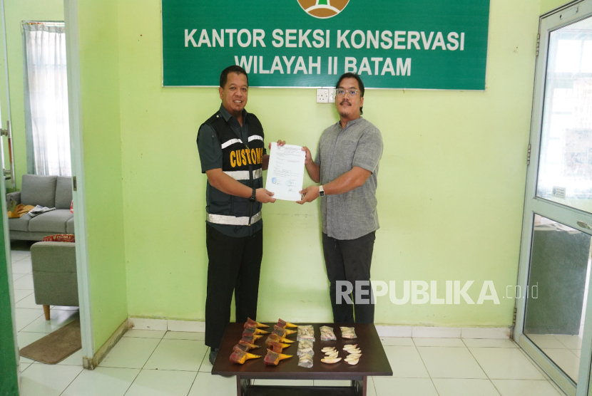 Bea Cukai Batam Gagalkan Penyelundupan Paket Berisi Paruh dan Taring Satwa Dilindungi