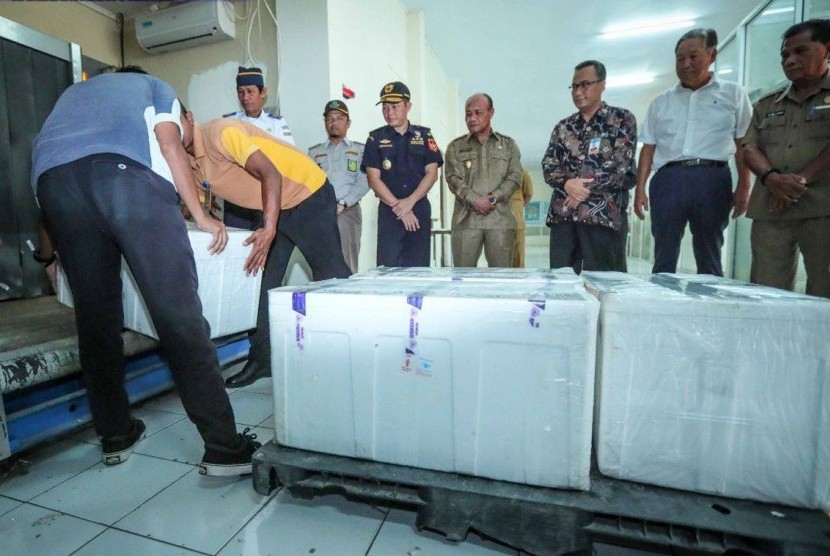 Bea Cukai dorong ekspor udang vanamei dari Ternate.