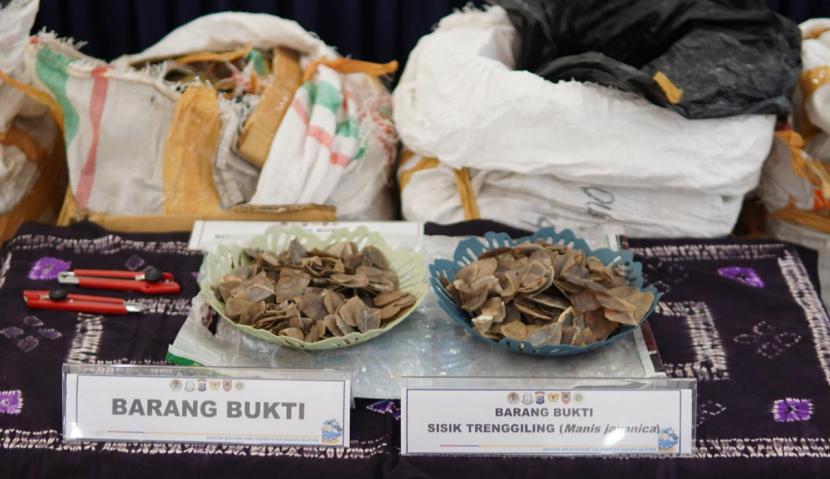 Bea Cukai gagalkan penyelundupan 360 kilogram sisik tenggiling.