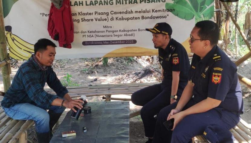 Bea Cukai Jember meninjau lokasi rencana pengembangan kawasan berikat holtikultura pisang cavendish berorientasi ekspor di Desa Maskuning Kulon, Kecamatan Pujer, Kabupaten Bondowoso, Selasa (13/8/2024).