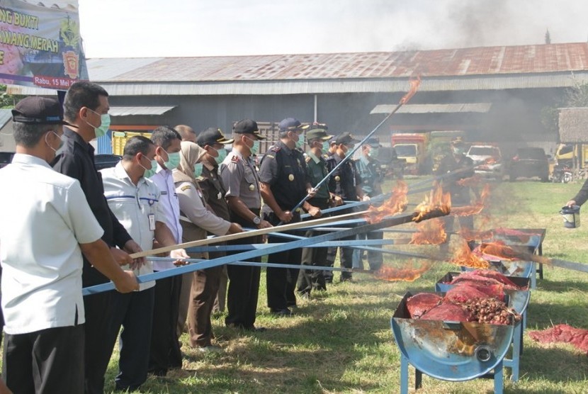 Bea Cukai Lhokseumawe musnahkan 73 ton bawang merah impor ilegal.