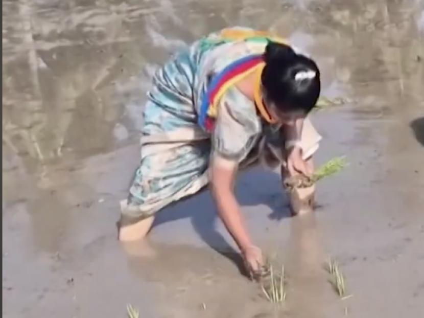 Beberapa minggu jelang penyelenggaraan pemilu, para caleg di negara bagian Tamil Nadu melakukan kampanye dengan cara yang unik untuk dapatkan dukungan dari masyarakat.