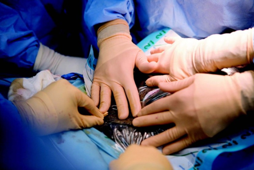 Operasi implan payudara mengalami kesalahan akibat kelalaian anestesi. Foto ilustrasi bedah.