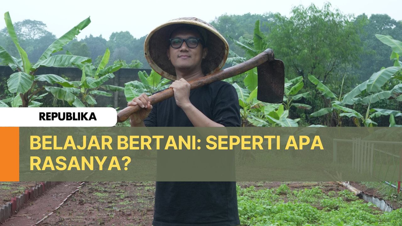 Belajar Bertani Ditengah Kota: Seperti Apa Rasanya?