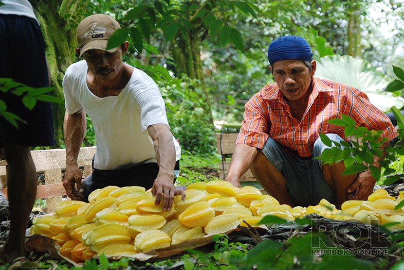 Asyik Blitar Punya Wisata Kuliner Belimbing Dan Buah