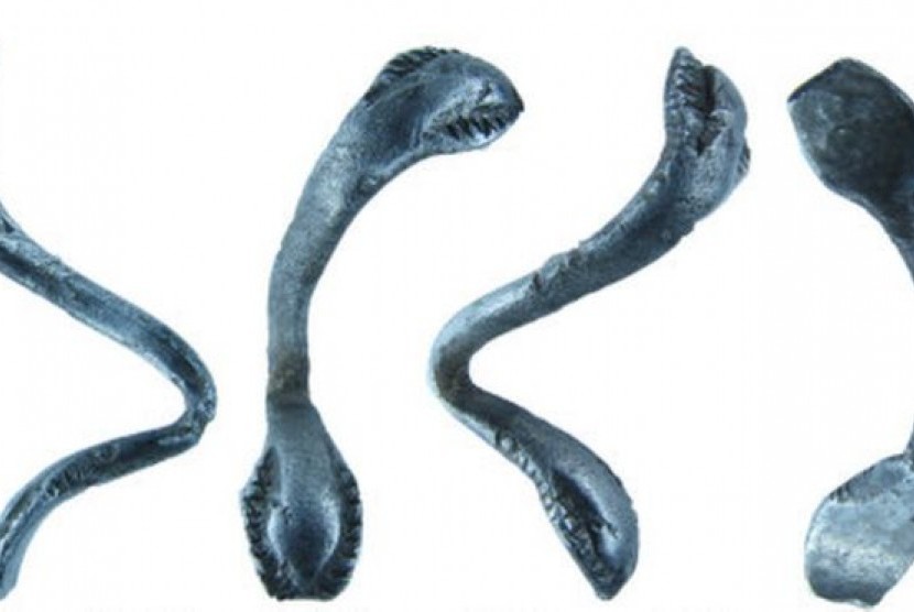 Benda diduga cincin bermotif ular ditemukan di Buckinghamshire.