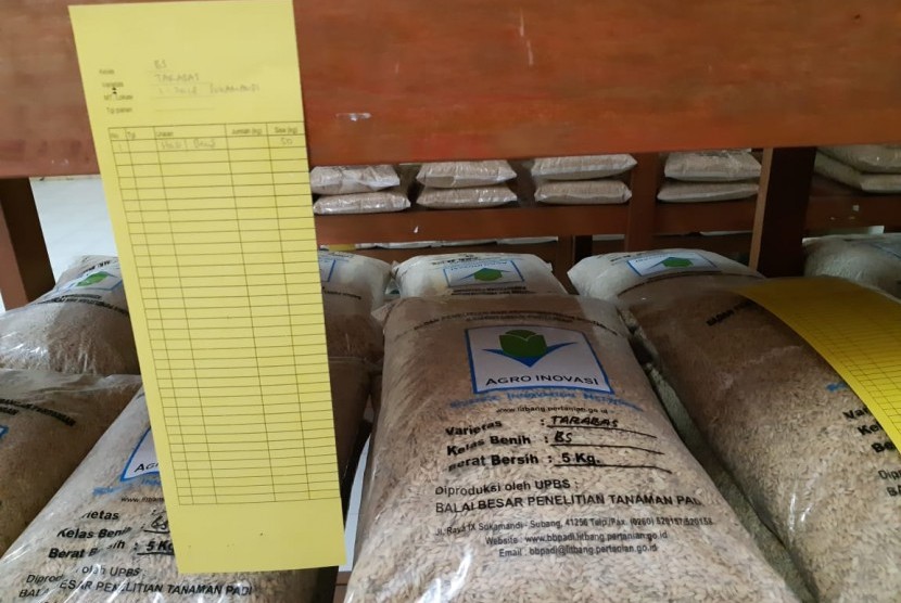 Benih sumber (breeder seed) varietas beras tarabas, yang berada di gudang penelitian BB Padi Sukamandi, Subang, Rabu (16/1).