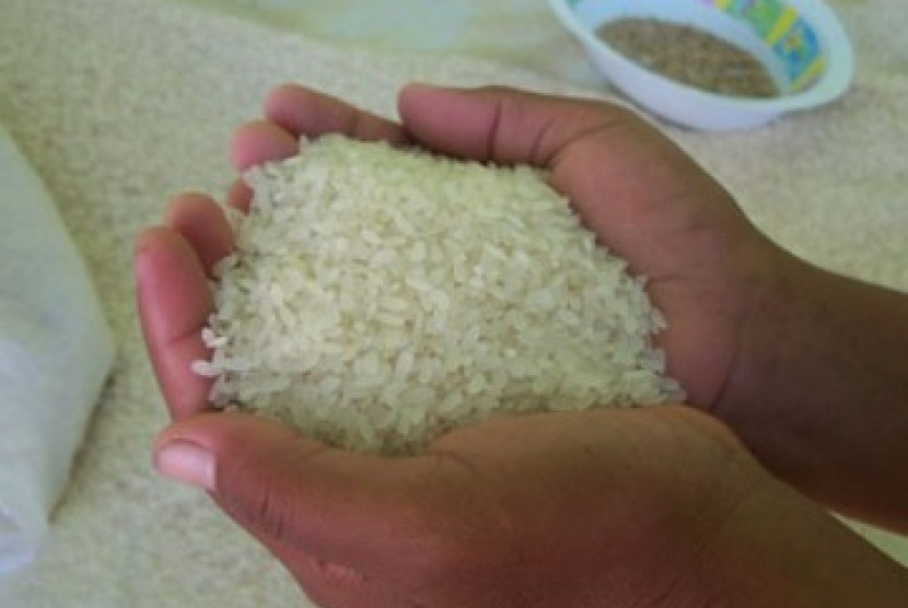 BUMD DKI Jakarta, Food Station Tjipinang Jaya, menggandeng kelompok tani di Karawang, Jawa Barat, melalui penanaman padi bersama yang hasilnya untuk menjaga ketersediaan pasokan beras di Ibu Kota. 