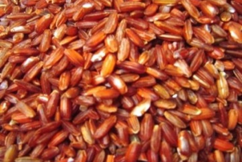 Badan Penelitian dan Pengembangan Pertanian Kementerian Pertanian resmi melepas varietas unggul baru (VUB) Inpari Arumba yang merupakan jenis padi merah. Inpari Arumba disebut memiliki kandungan pigmen tinggi sehingga kaya antioksidan.