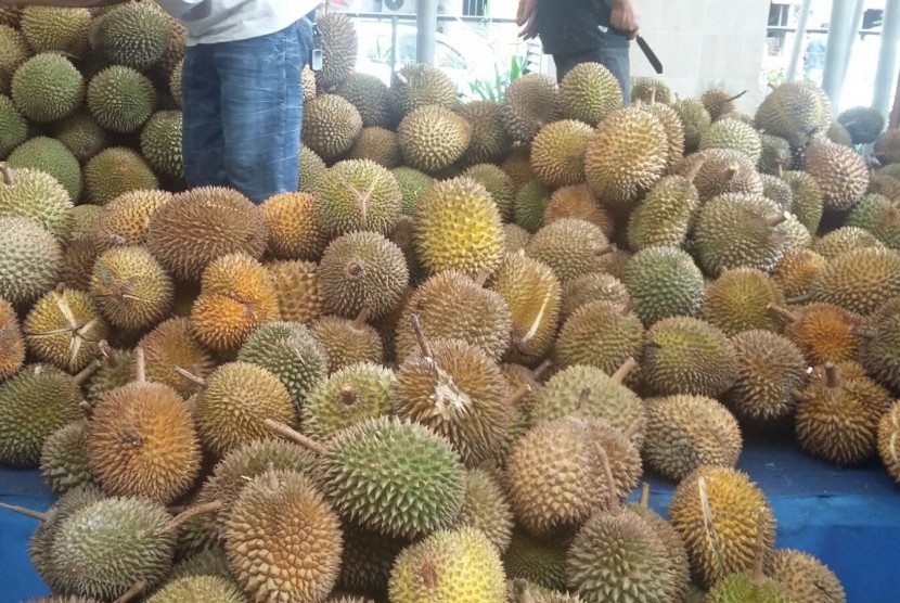 Antusiasme pengunjung Durian Fair 2016, sebaiknya datang di hari biasa untuk menghindari antrean pengunjung di akhir pekan.