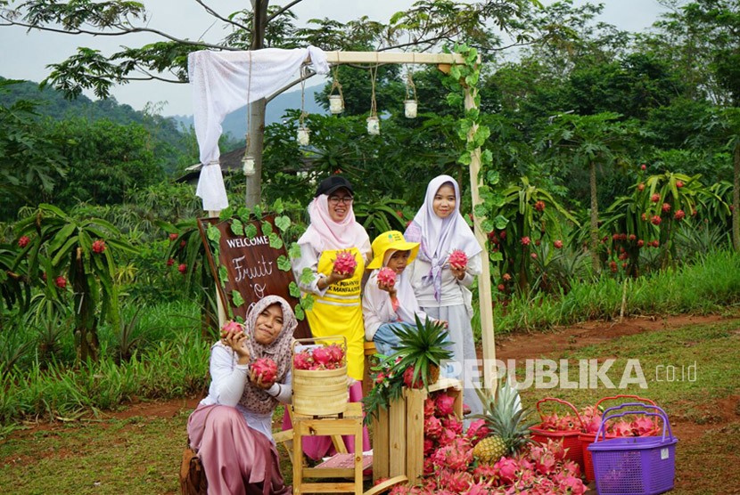Berdonasi sambil memberdayakan ekonomi masyarakat pedesaan telah digiatkan Dompet Dhuafa di sejumlah daerah di indonesia. 