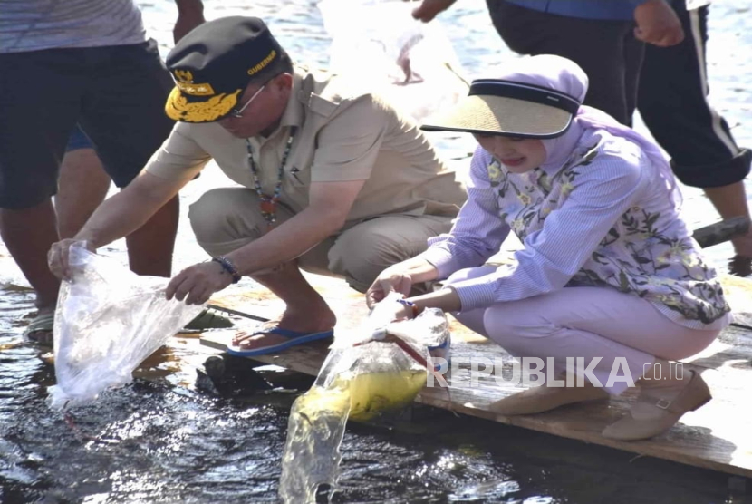 Berlokasi di Danau Asam, Gubernur Kalteng Agustiar Sabran melakukan restocking benih ikan demi menjaga ekosistem dan membuka peluang ekonomi baru masyarakat sekitar.