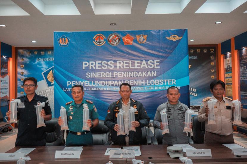 Bersinergi dengan Lantamal IV, Bakamla RI, dan BAIS TNI, Kantor Wilayah (Kanwil) Bea Cukai Khusus Kepulauan Riau gagalkan penyelundupan 123.082 ekor benih lobster, pada Selasa (24/10). Benih lobster jenis lobster pasir dan mutiara senilai Rp 19 miliar tersebut diketahui akan diselundupkan ke Malaysia.