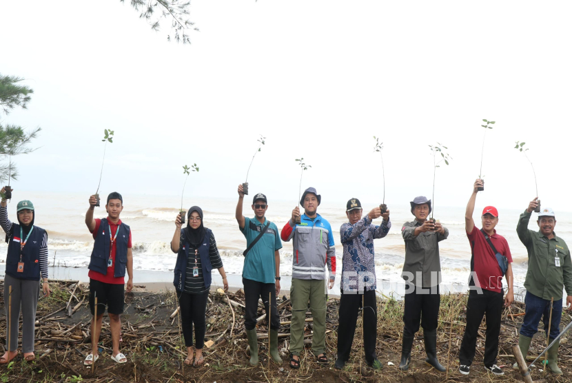 Bhimasena Power Indonesia (BPI) menanam ribuan mangrove di daerah pesisir Dukuh Roban Timur, Desa Sengon, Kabupaten Batang, Jawa Tengah, Kamis (3/7/2025).