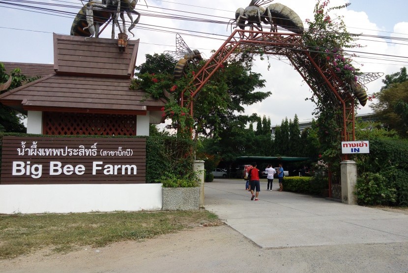 Big Bee Farm di Thailand