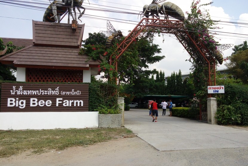 Yuk, ke Big Bee Farm, Pusat Madu Thailand dari Bunga Opium | Republika ...