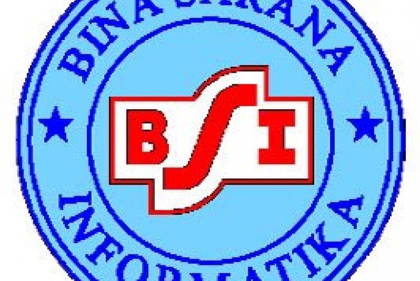 Bina Sarana Informatika (BSI)