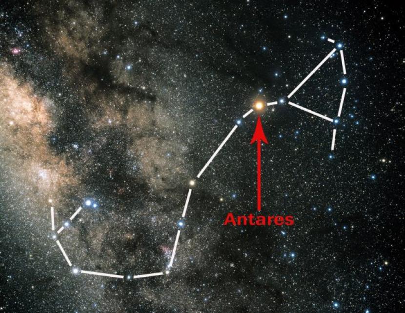 Bintang Antares.
